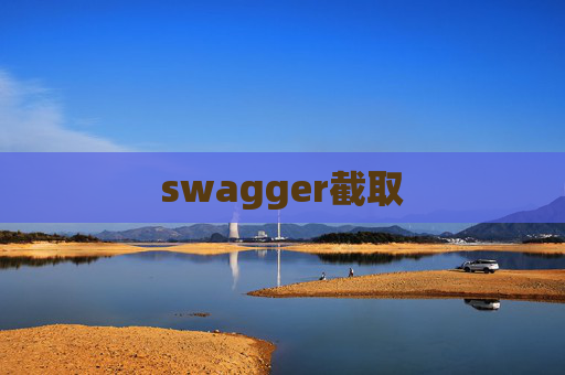swagger截取